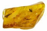 Fossil Flies (Diptera) In Baltic Amber #109416-3
